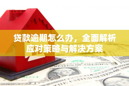 泽库贷款逾期怎么办，全面解析应对策略与解决方案