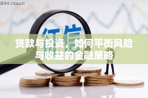 泽库贷款与投资，如何平衡风险与收益的金融策略