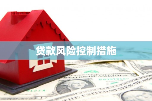泽库贷款风险控制措施